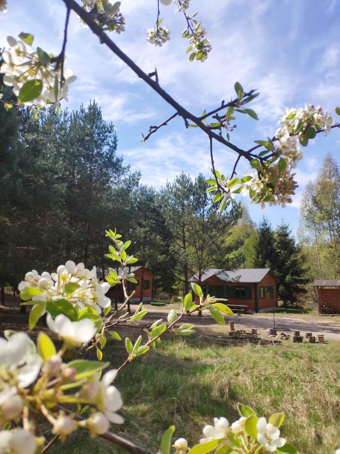 Agroturystyka Oaza Ciszy i Spokoju Miedzychod Zewnętrze zdjęcie