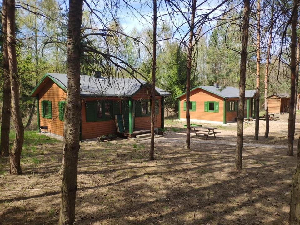Agroturystyka Oaza Ciszy i Spokoju Miedzychod Zewnętrze zdjęcie